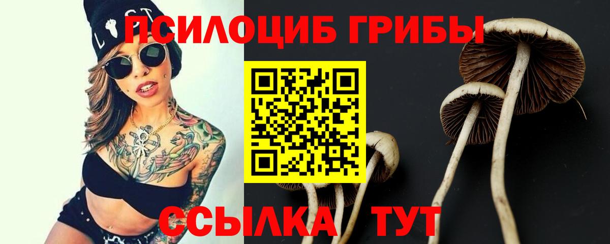 Ростов-на-Дону  Галлюциногенные грибы ЛСД  Вход с VPN 
